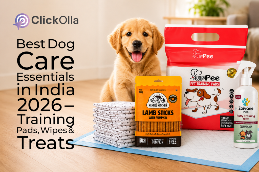 Best Dog Care Essentials in India 2026 – Training Pads, Wipes & Treats