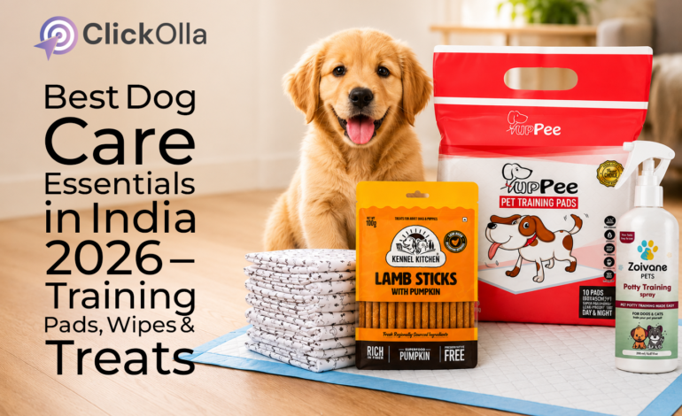 Best Dog Care Essentials in India 2026 – Training Pads, Wipes & Treats