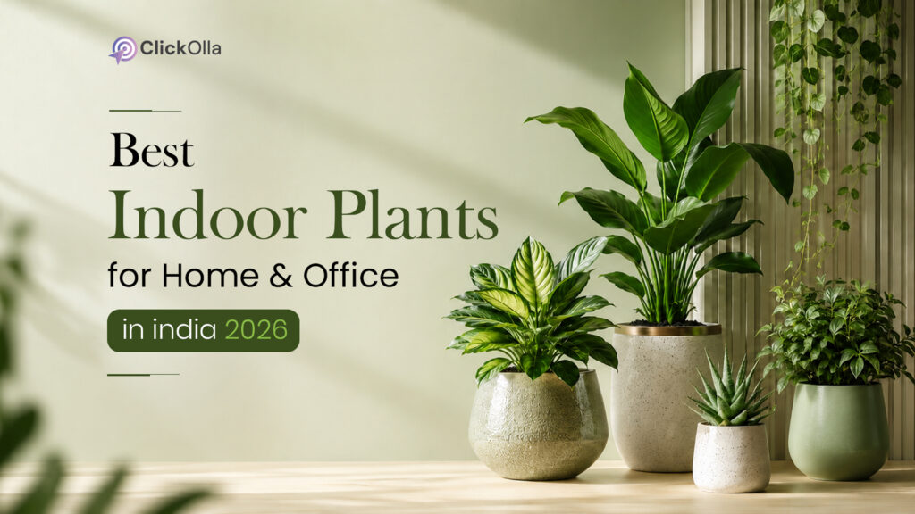 Best Indoor Plants for Home & Office in India 2026