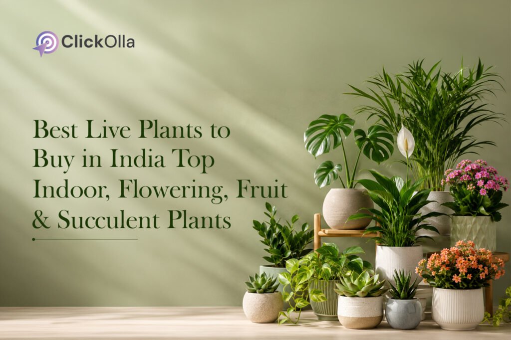 Best Live Plants to Buy in India Top Indoor, Flowering, Fruit & Succulent Plants