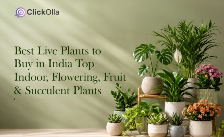Best Live Plants to Buy in India Top Indoor, Flowering, Fruit & Succulent Plants
