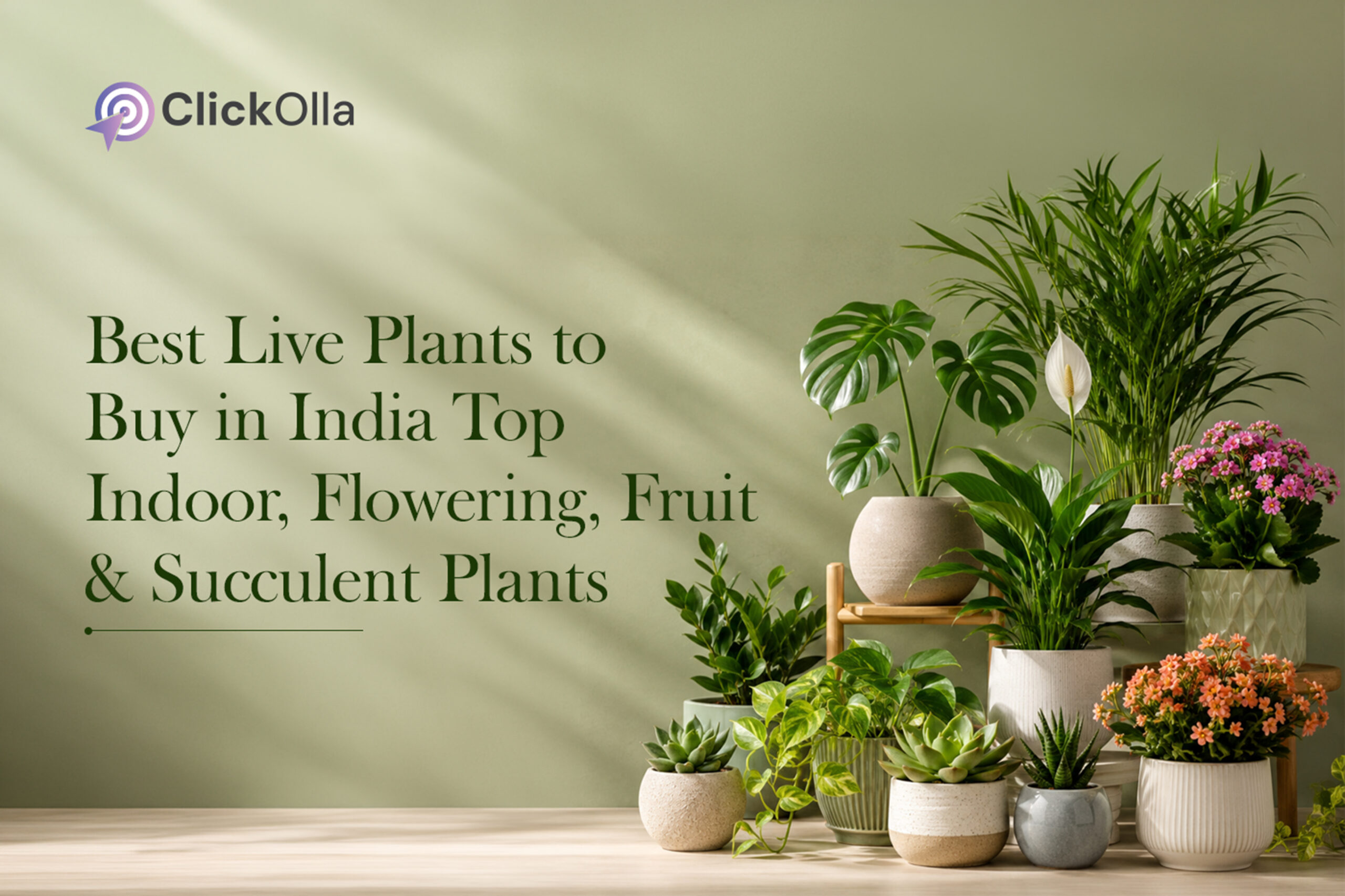 Best Live Plants to Buy in India Top Indoor, Flowering, Fruit & Succulent Plants