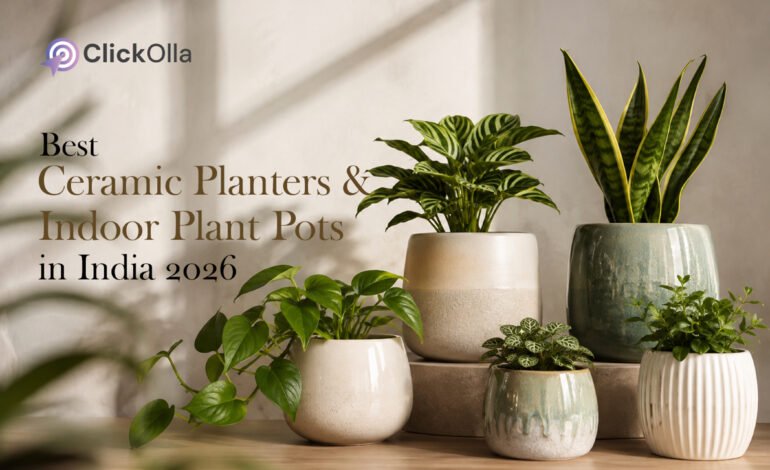 Best Ceramic Planters & Indoor Plant Pots in India (2026)