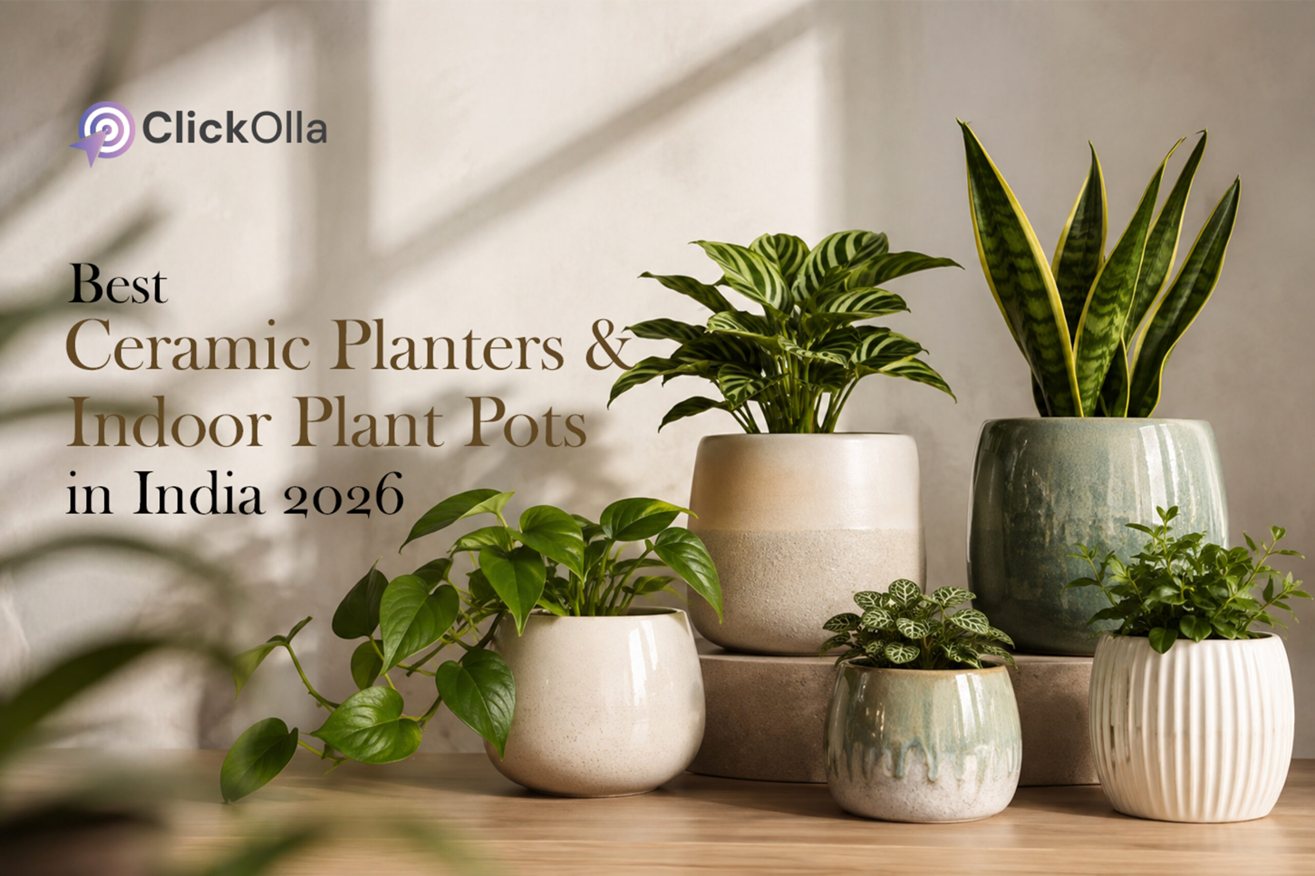 Best Ceramic Planters & Indoor Plant Pots in India (2026)