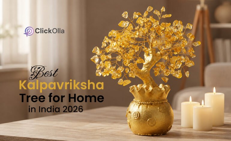 Best Kalpavriksha Tree for Home in India (2026)