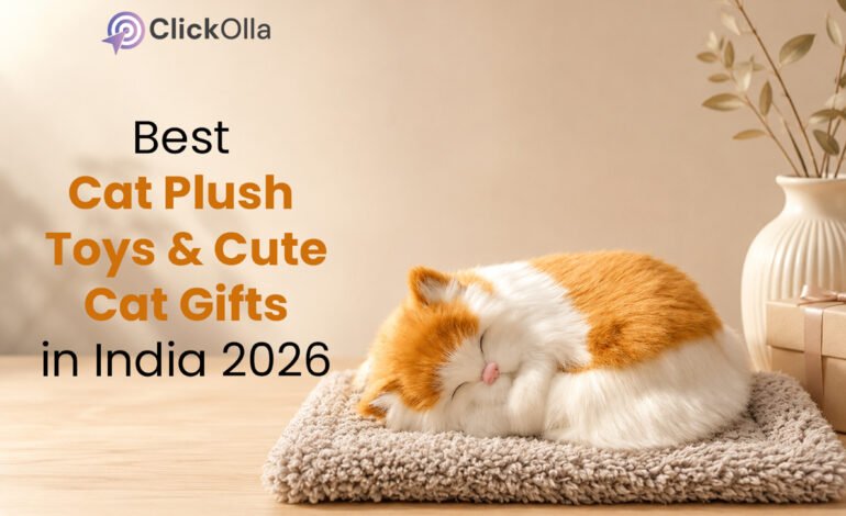 Best Cat Plush Toys & Cute Cat Gifts in India (2026)